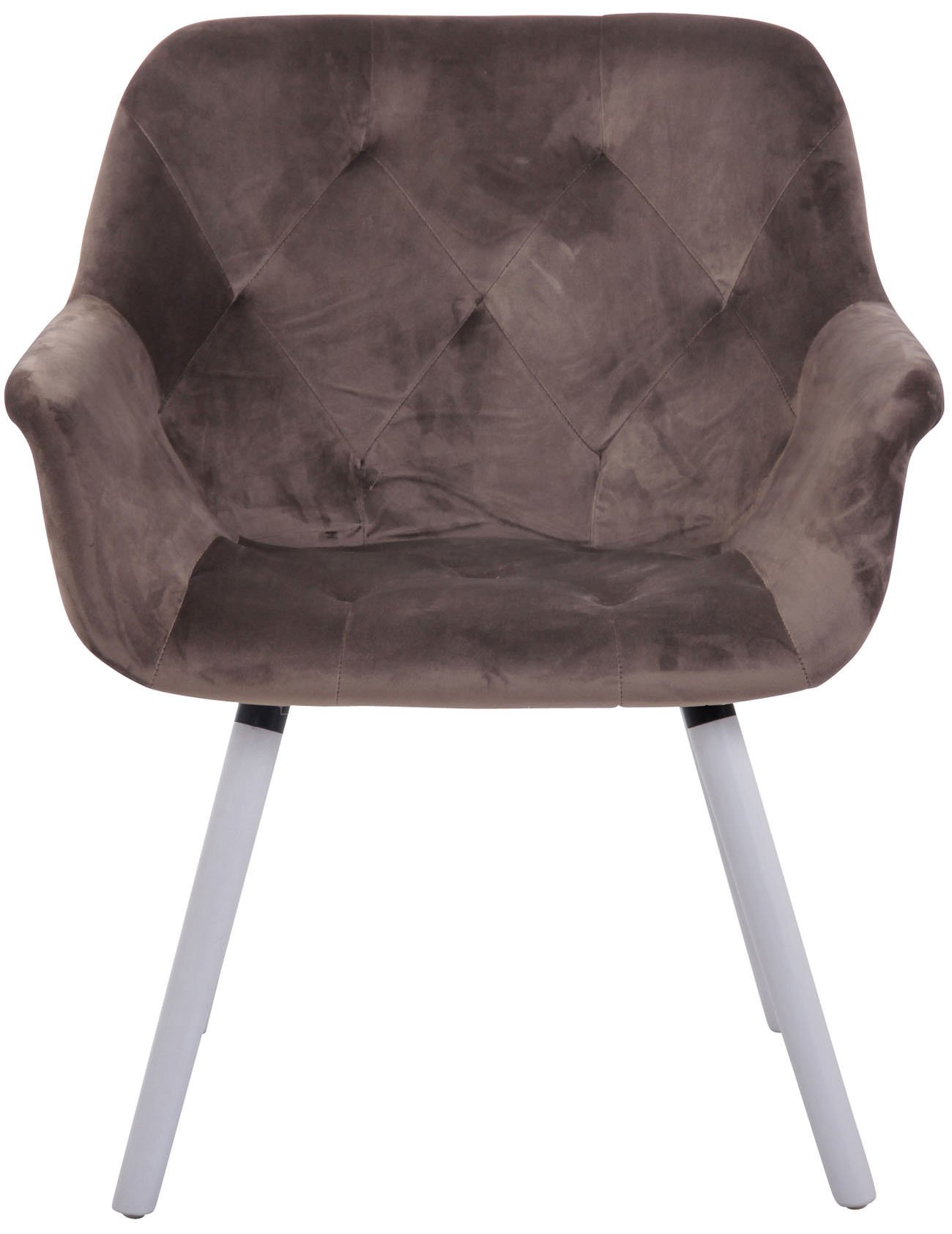 Chaise de salle à manger Cassidy en Velours